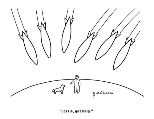 "Lassie, get help."