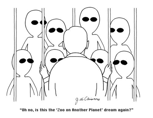 "Oh no, is this the 'Zoo on Another Planet' dream again?"