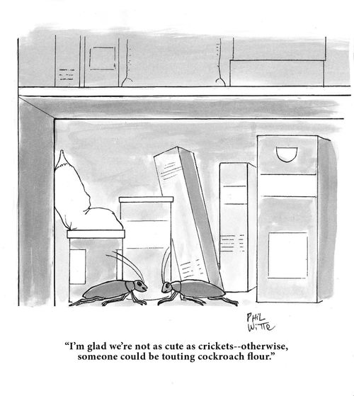 "Im glad we're not as cute as crickets - otherwise, someone could be touting cockroach flour."