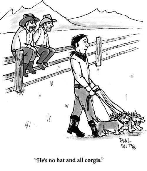 "He's no hat and all corgis."