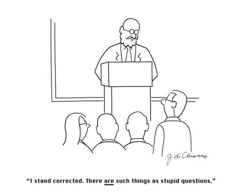 "I stand corrected. There ARE such things as stupid questions."