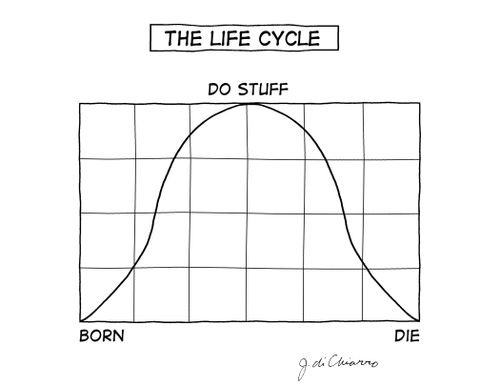 The Life Cycle