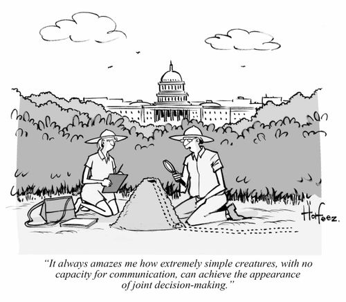 "It always amazes me how extremely simple creatures, with no capacity for communication, can achieve the appearance of joint decision-making."