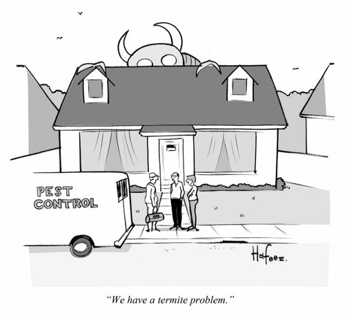 "We have a termite problem."