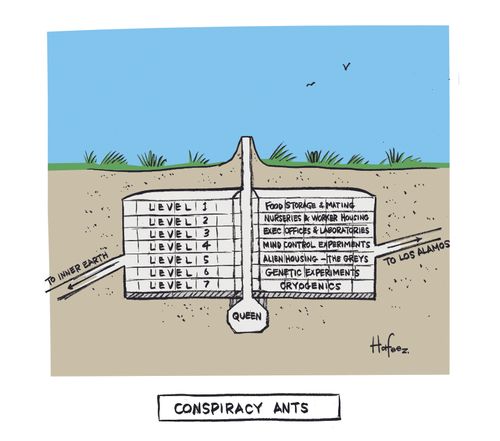 Conspiracy Ants