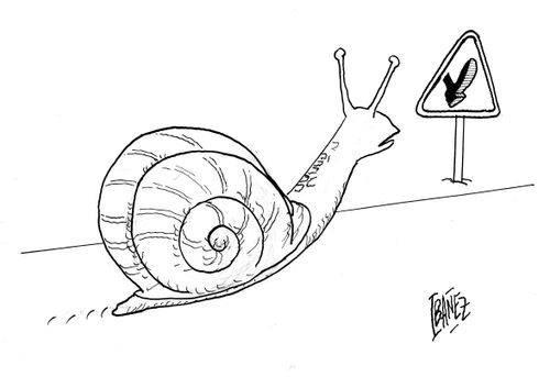 Snail Warning