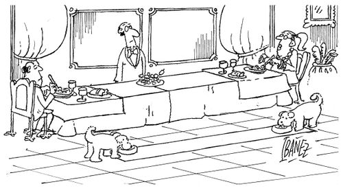 Doggie dining table