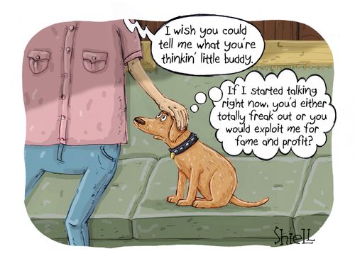 Doggie with trust issues.