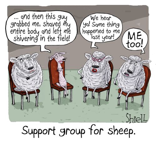 Support group for sheep.