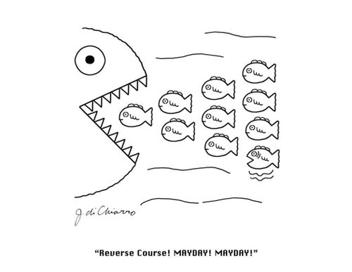 "Reverse Course! Mayday! Mayday!"