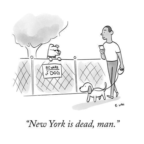"New York is dead, man."