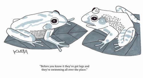 "Before you know it they've got legs and they're swimming all over the place."