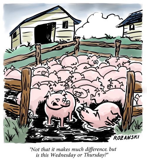 "Not that it makes a difference, but is this Wednesday or Thursday?"
