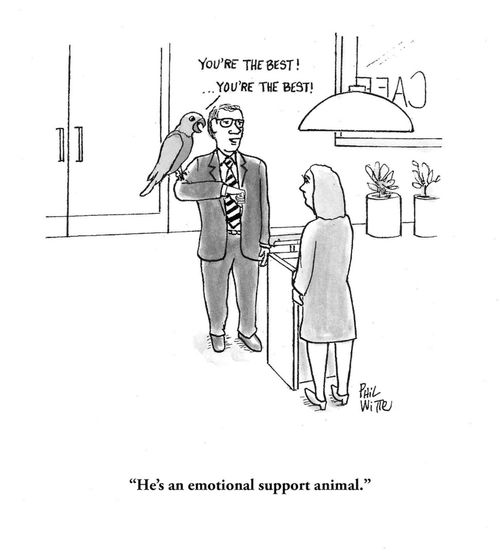 "He's an emotional support animal."
