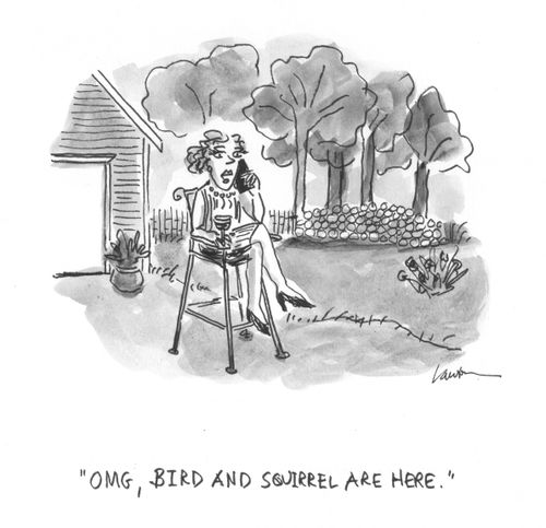 "Omg, bird and squirrel are here."