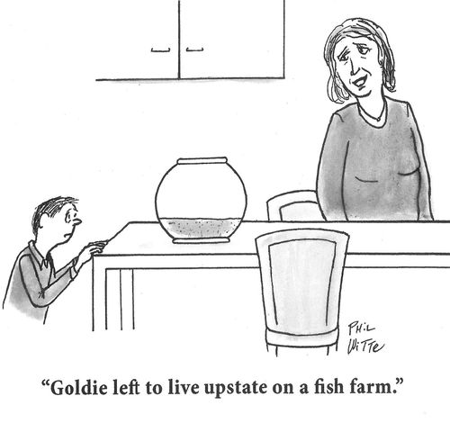 "Goldie left to live upstate on a fish farm."