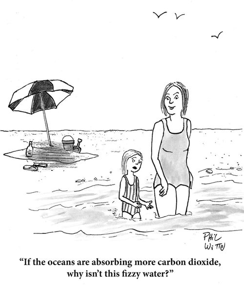 "If oceans are absorbing more carbon dioxide, why isn't this water fizzy?"