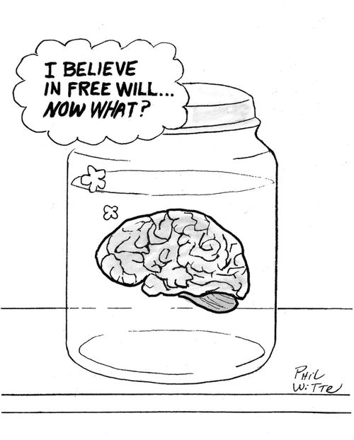 "I believe in free will... now what?"