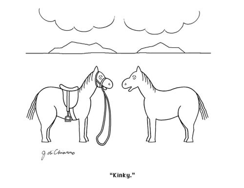 "Kinky."