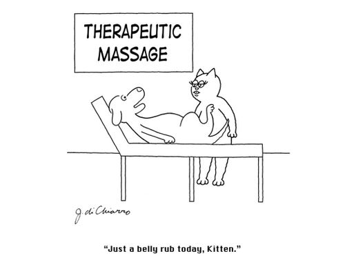 "Just a belly rub today, Kitten."