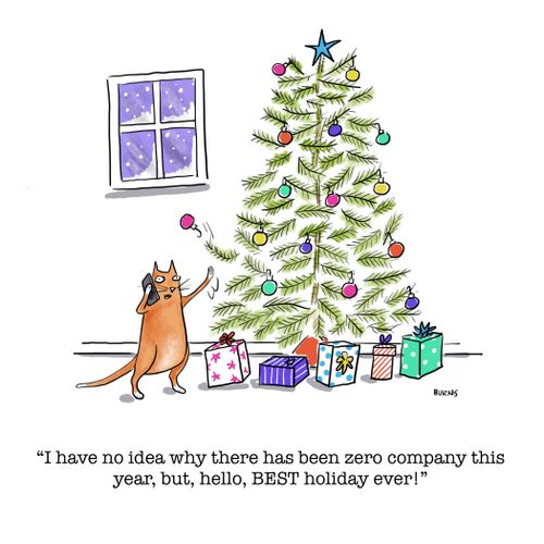  "I have no idea why there has been zero company this year, but, hello, BEST holiday ever!"