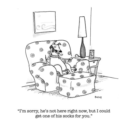 "I'm sorry, he's not here right now, but I could get one of his socks for you."