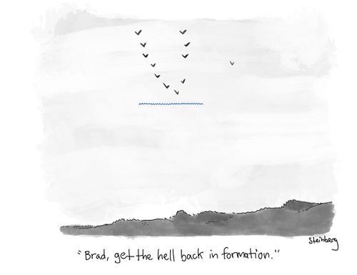"Brad, get the hell back in formation."