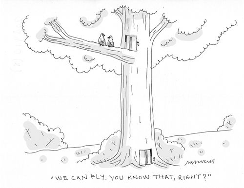 "We can fly. You know that, right?"