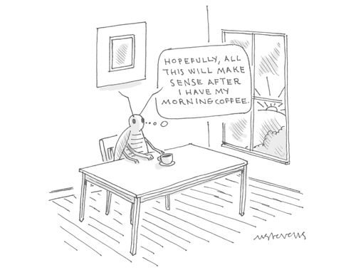 "Hopefully, all this will make sense after I have my morning coffee."