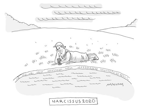 Narcissus 2020