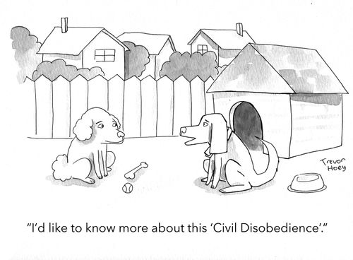 "I'd like to know more about this 'Civil Disobedience'."