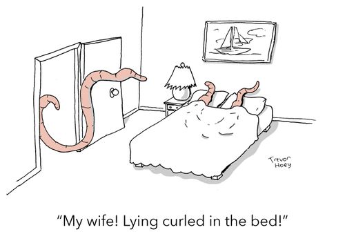 "My wife! Lying curled in the bed!"