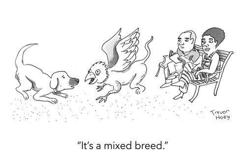 "It's a mixed breed."
