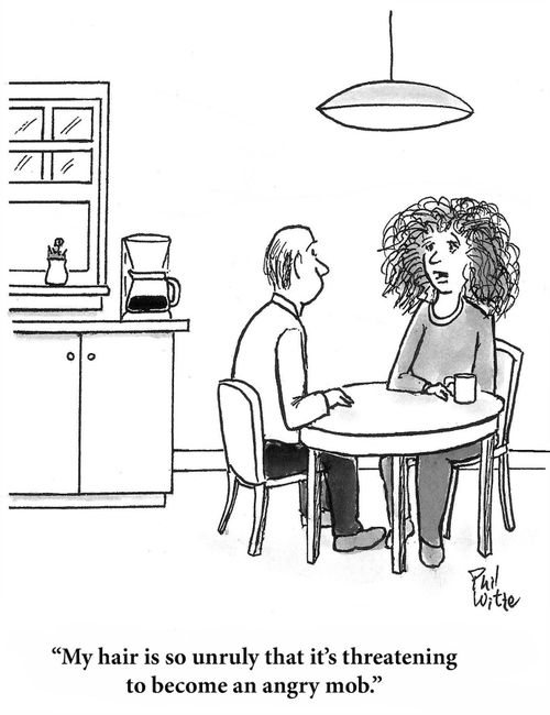 "My hair is so unruly that it's threatening to become an angry mob."