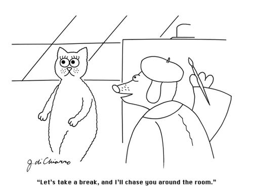 "Let's take a break, and I'll chase you around the room."