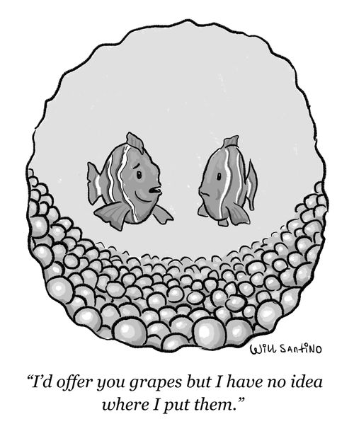 "I'd offer you grapes but I have no idea where I put them."