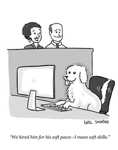 "We hired him for his soft paws - I mean soft skills."