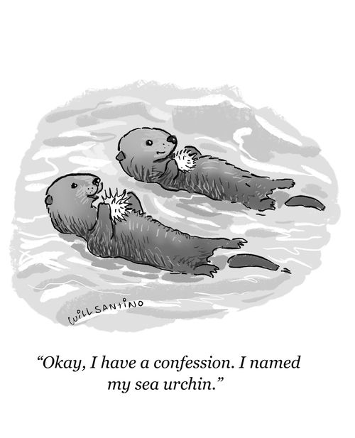 "Okay, I have a confession. I named my sea urchin."