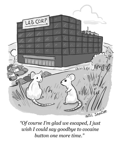 "Of course I'm glad we escaped, I just wish I could say goodbye to the cocaine button one more time."