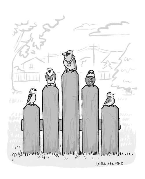 Birds on a winner's podium 