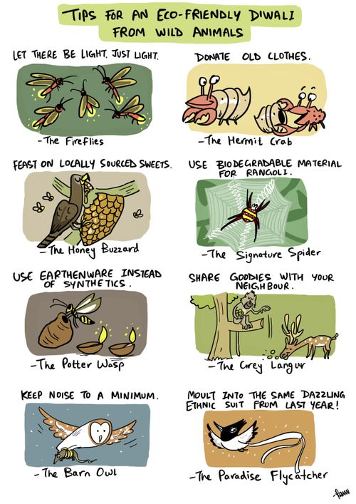 Tips for an Eco-friendly Diwali from Wild Animals