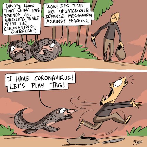 Wildlife trade and COVID-19.