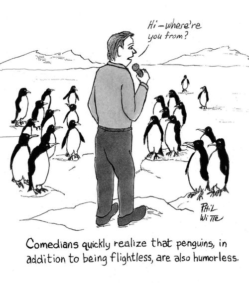 "Comedians quickly realize that penguins, in addition to be flightless, are also humorless." 