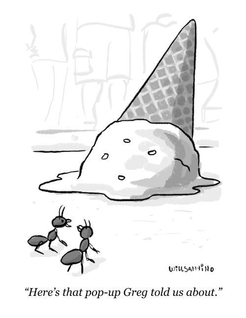 "Here's that pop-up Greg told us about."