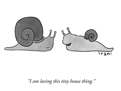 "I am loving this tiny house thing."