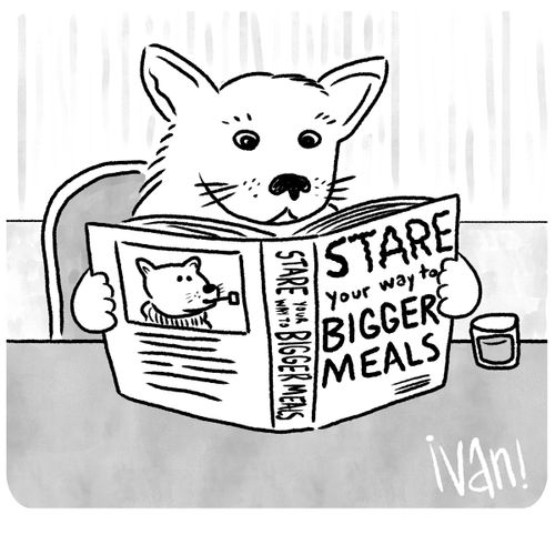 Stare your way to bigger meals
