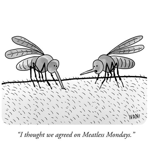 "I thought we agreed on Meatless Mondays."