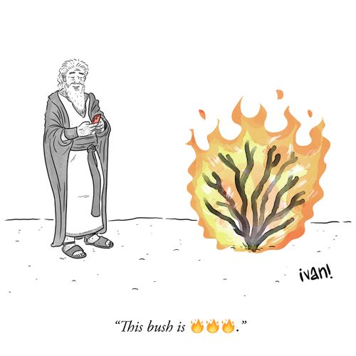 "This bush is lit."