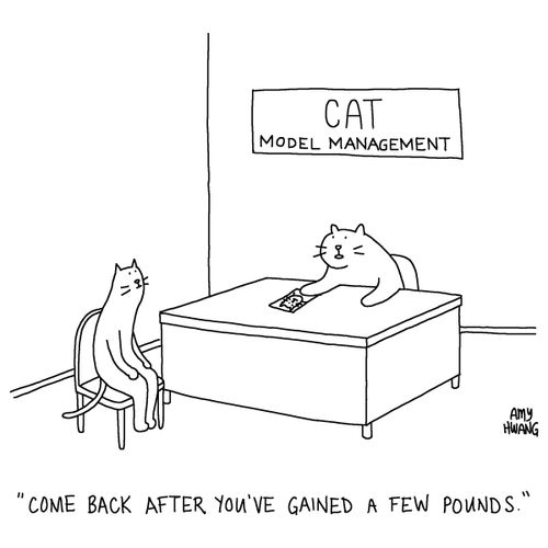"Come back after you've gained a few pounds."