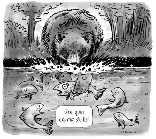 "Use Your Coping Skills!"